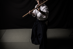 Sensei 2017