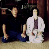 Sensei 3