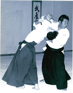 Sensei 6