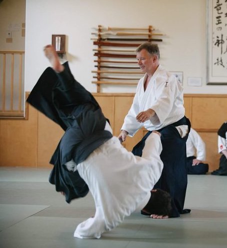 can i learn aikido at home